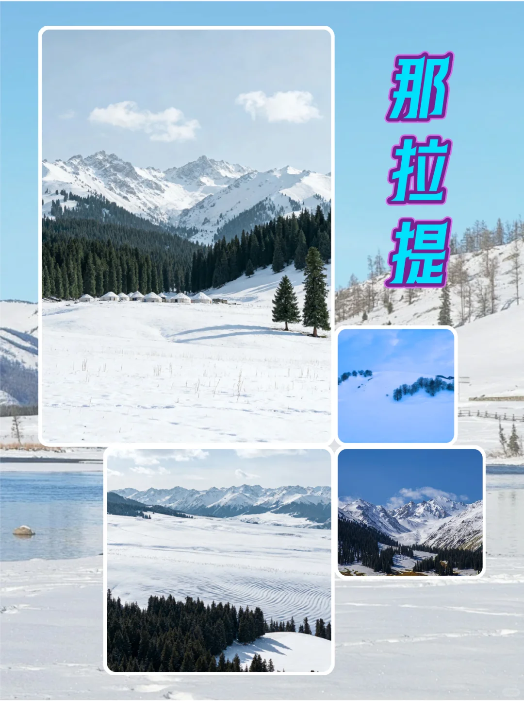 阿勒泰VS伊犁❄️冬季新疆旅游选择题纯攻略