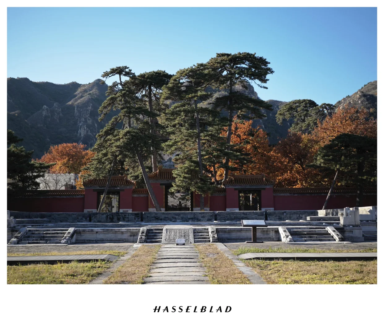 打卡北京十三陵最美的秋天