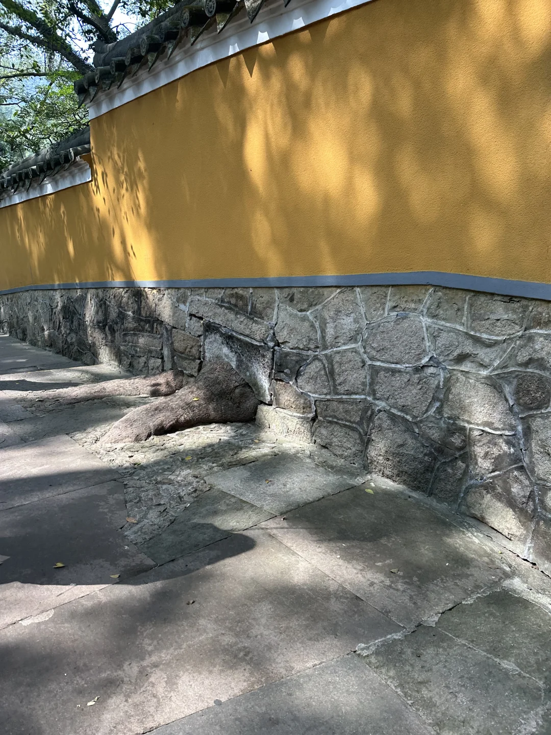 来了就好 越来越好🙏