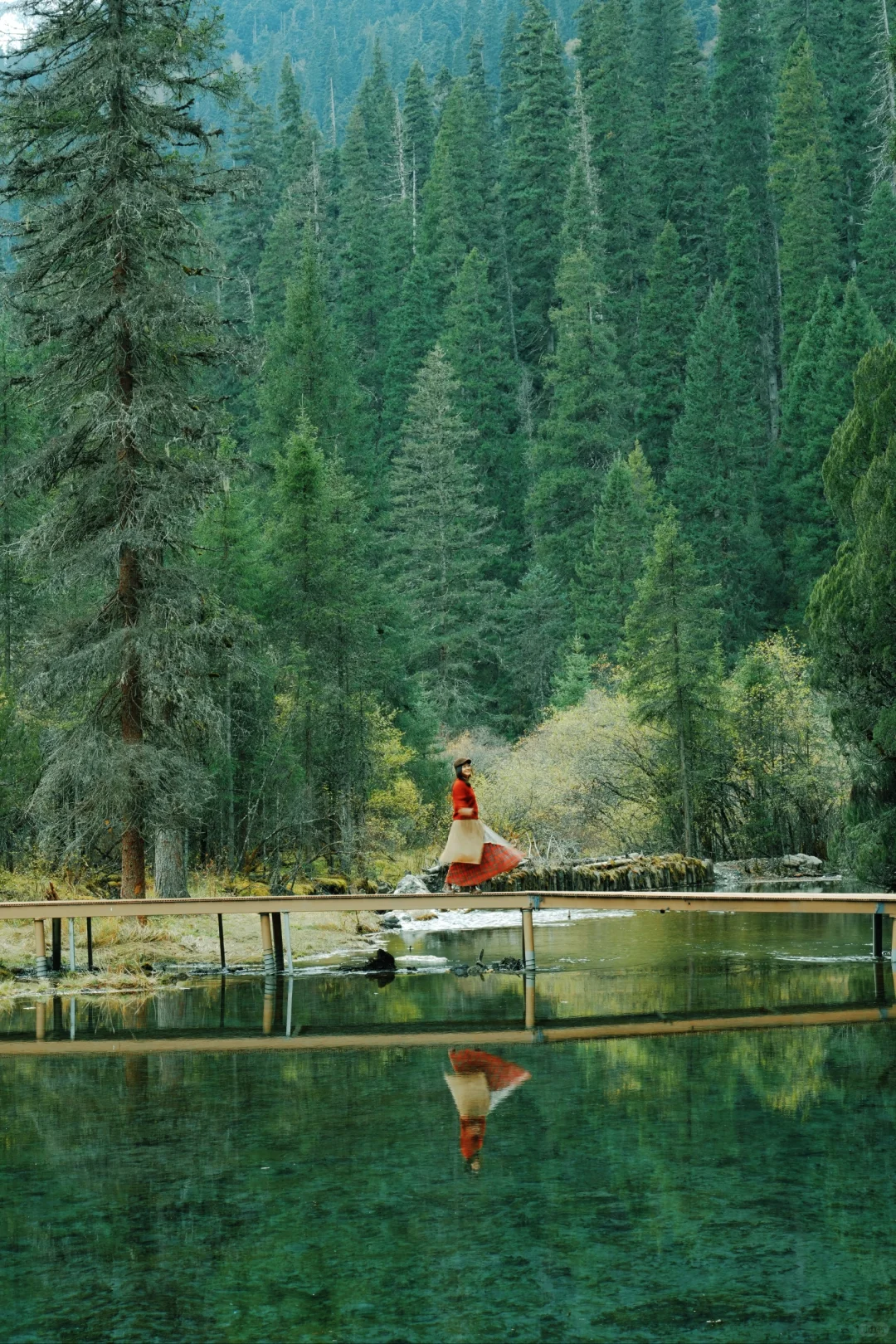 平武·白马王朗＆天母湖