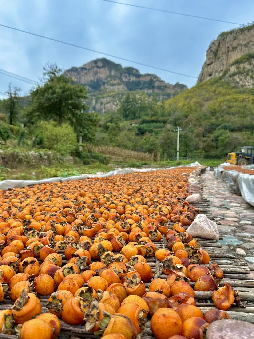 石家庄1️⃣日小众赏秋🍂路线，去山野⛰️看自然
