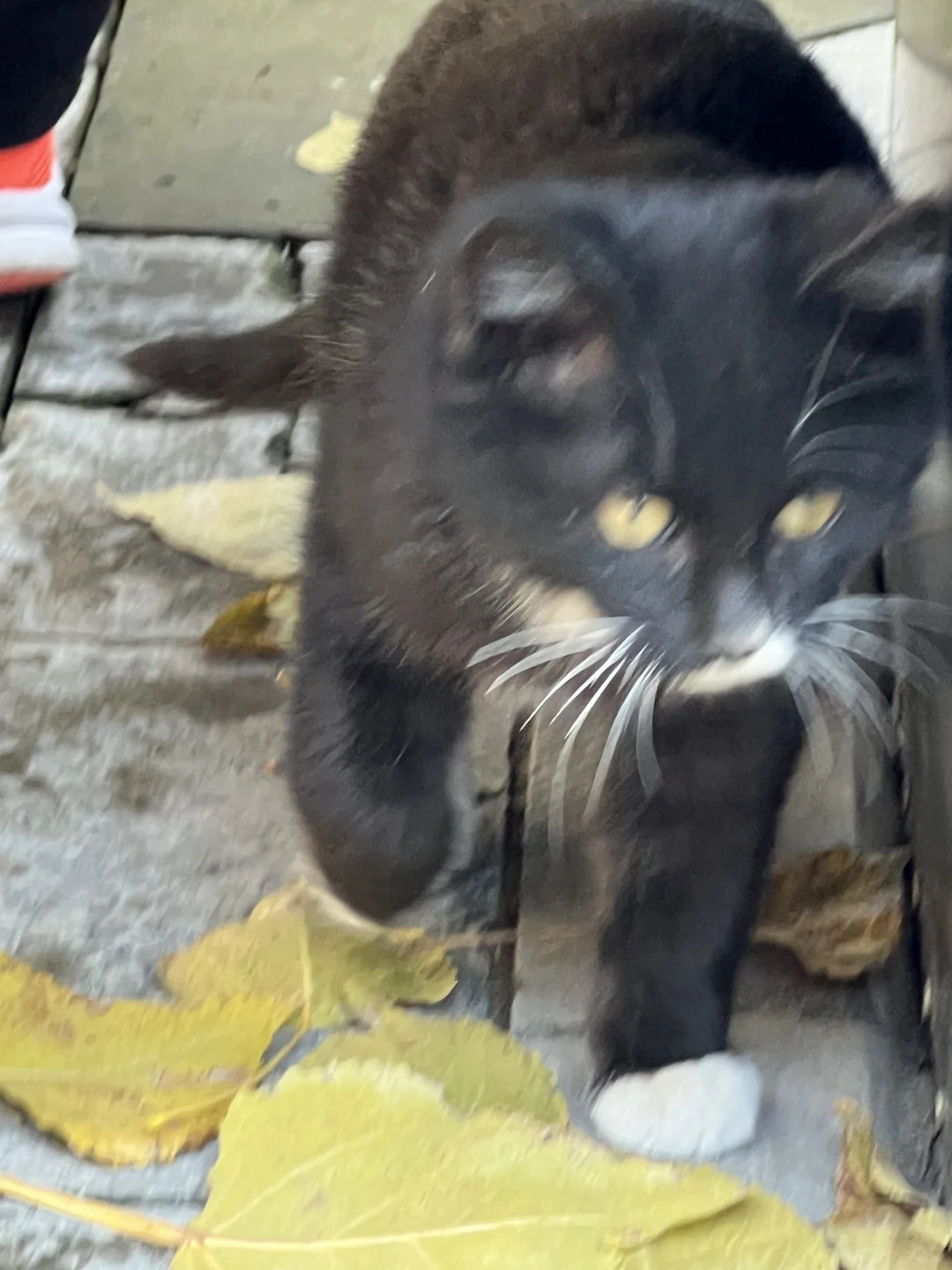 秋日和太原晋祠不要太搭❤️