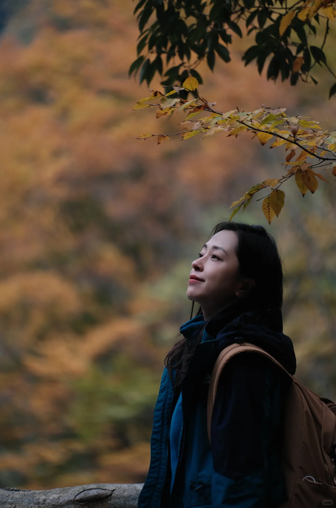 巴中的红叶真的太好拍了！