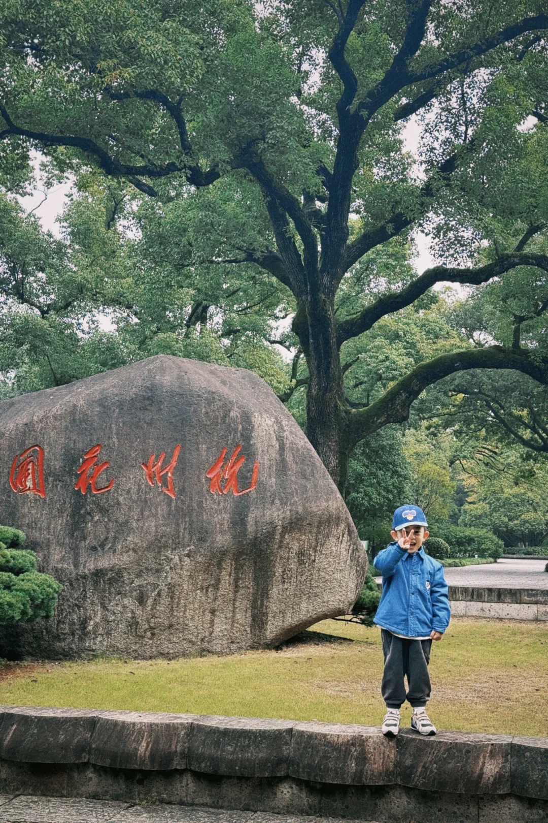 杭州周末景区遛娃｜避开人流赏桂