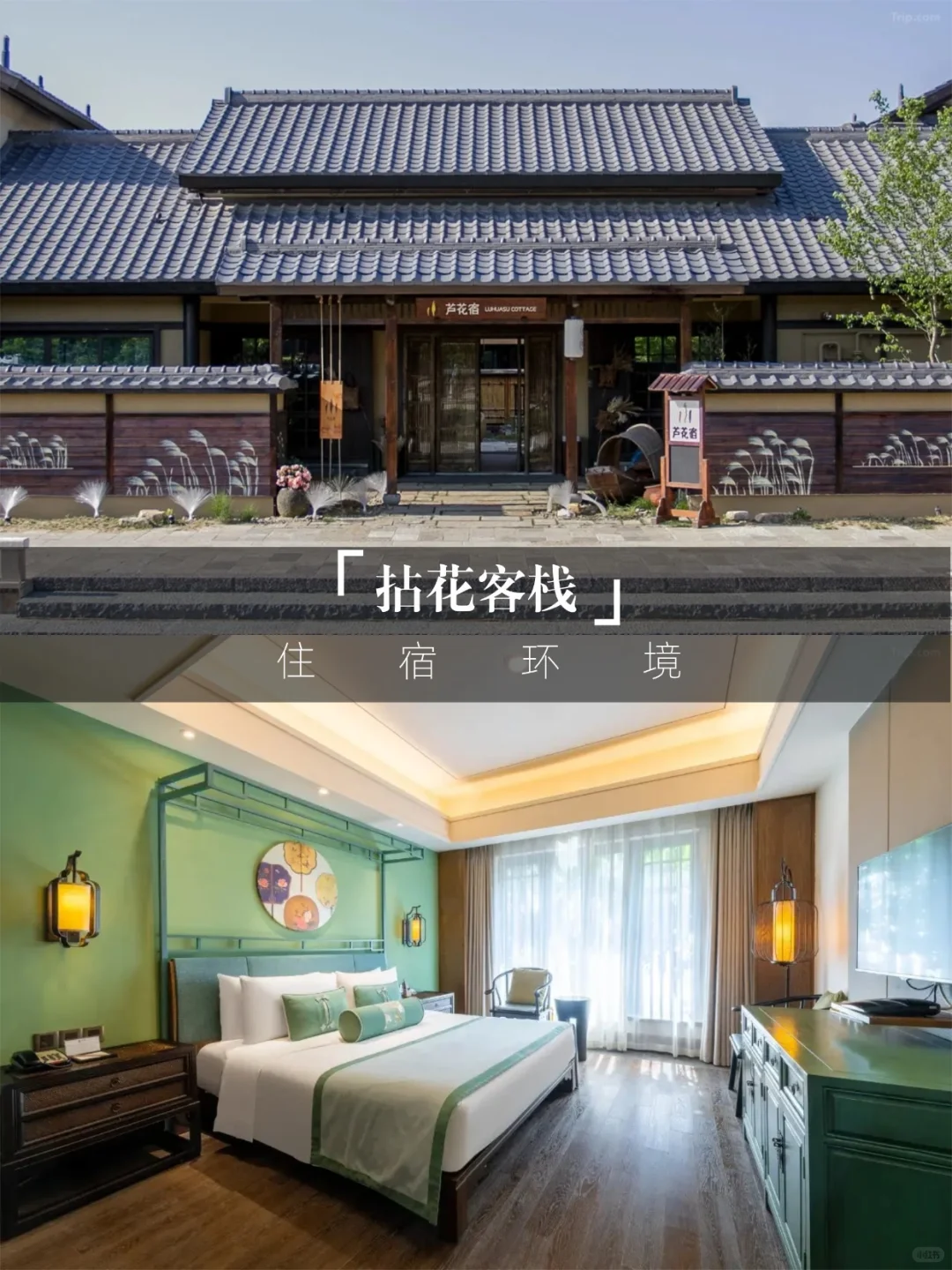 住景区内送拈花湾年卡💥双11诚意拉满