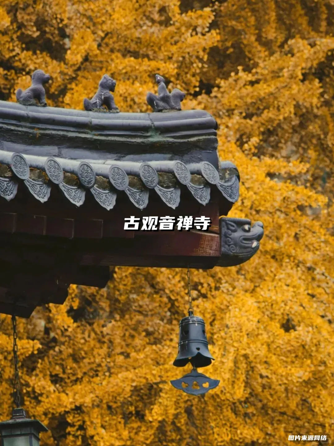 西安银杏天花板!这5️⃣个地方美到封神!