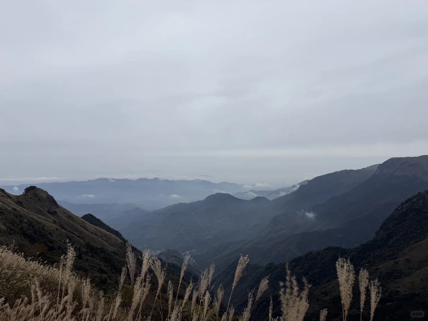 小小武功山⛰️轻松拿下（嘴硬版）
