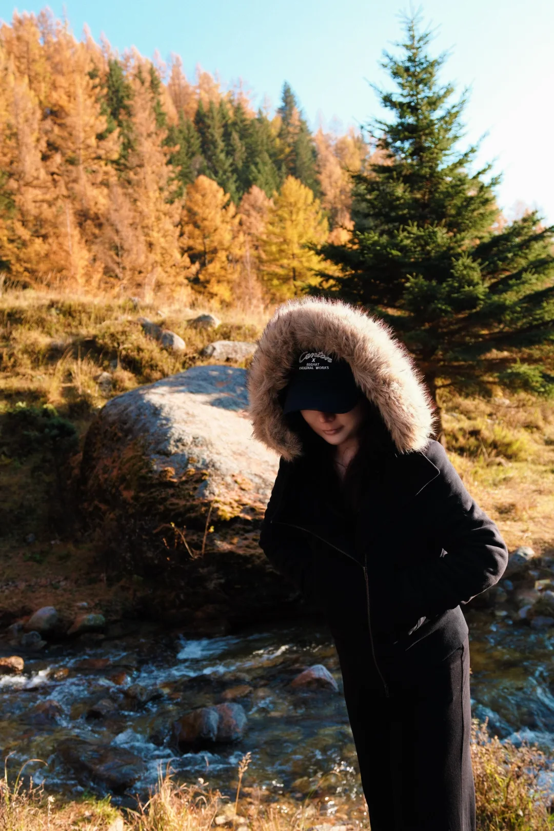 芦芽山🍁｜山西版阿勒泰秋天是最浪漫的季节