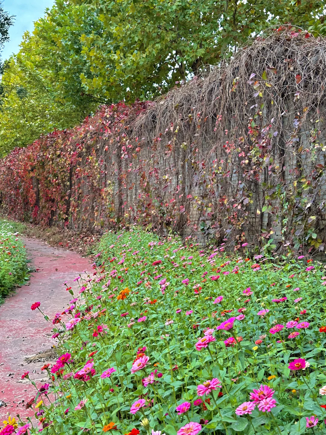 石家庄1️⃣日小众赏秋🍂路线，去山野⛰️看自然