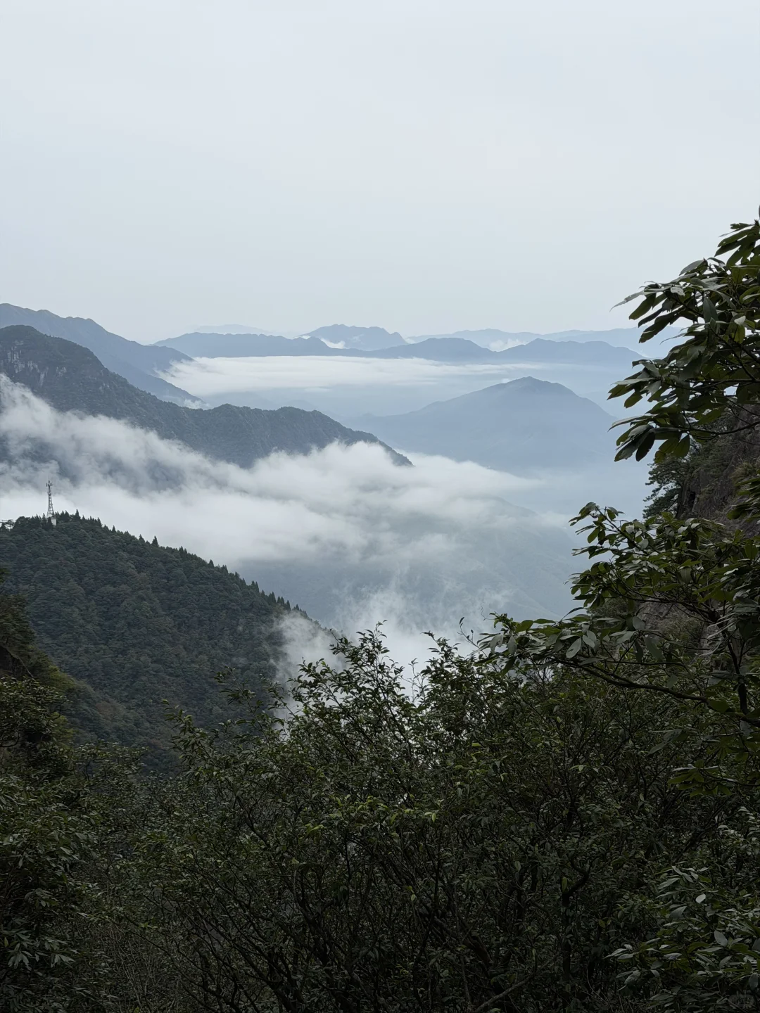小小武功山⛰️轻松拿下（嘴硬版）