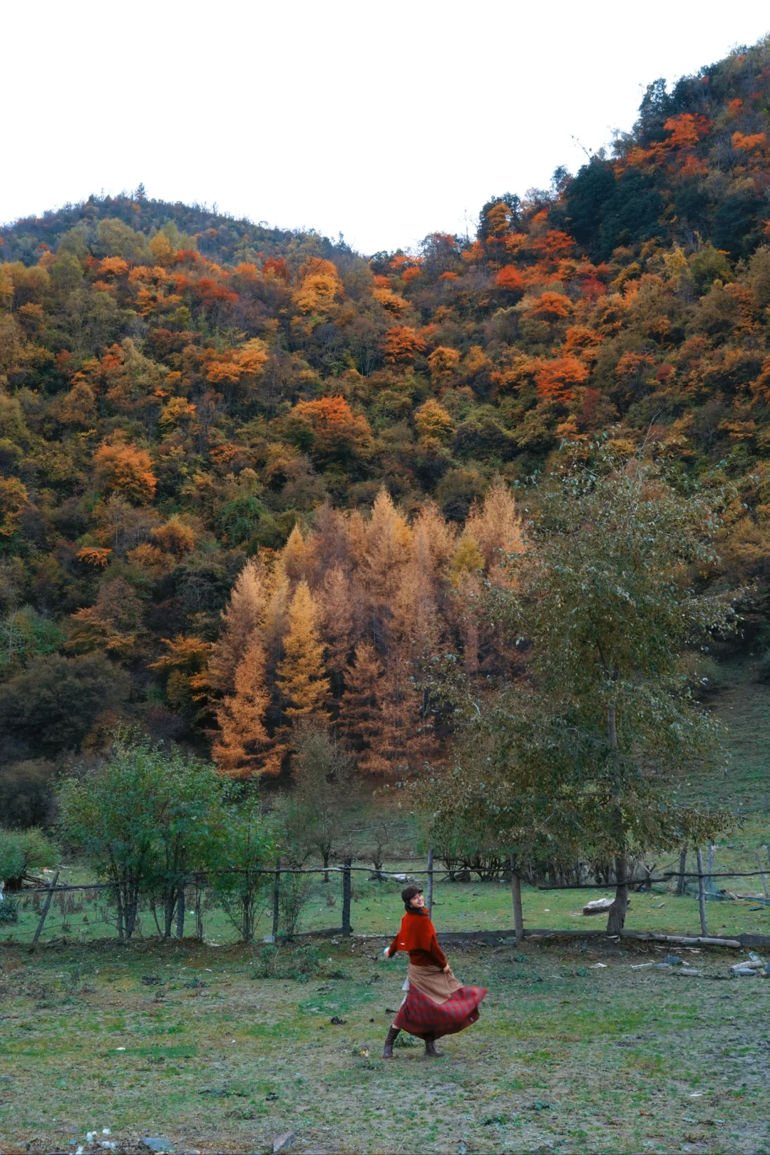 平武·白马王朗＆天母湖