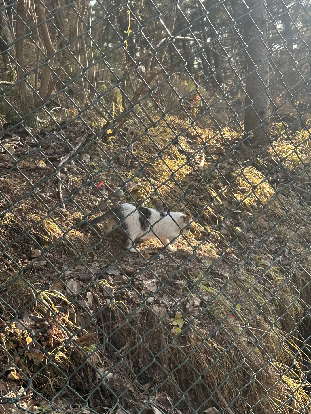 五台山攻略(必看版)|两天一夜