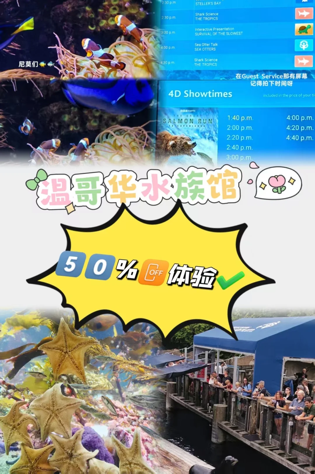 温哥华水族馆5折疯抢❗️沉浸式海洋天堂攻略