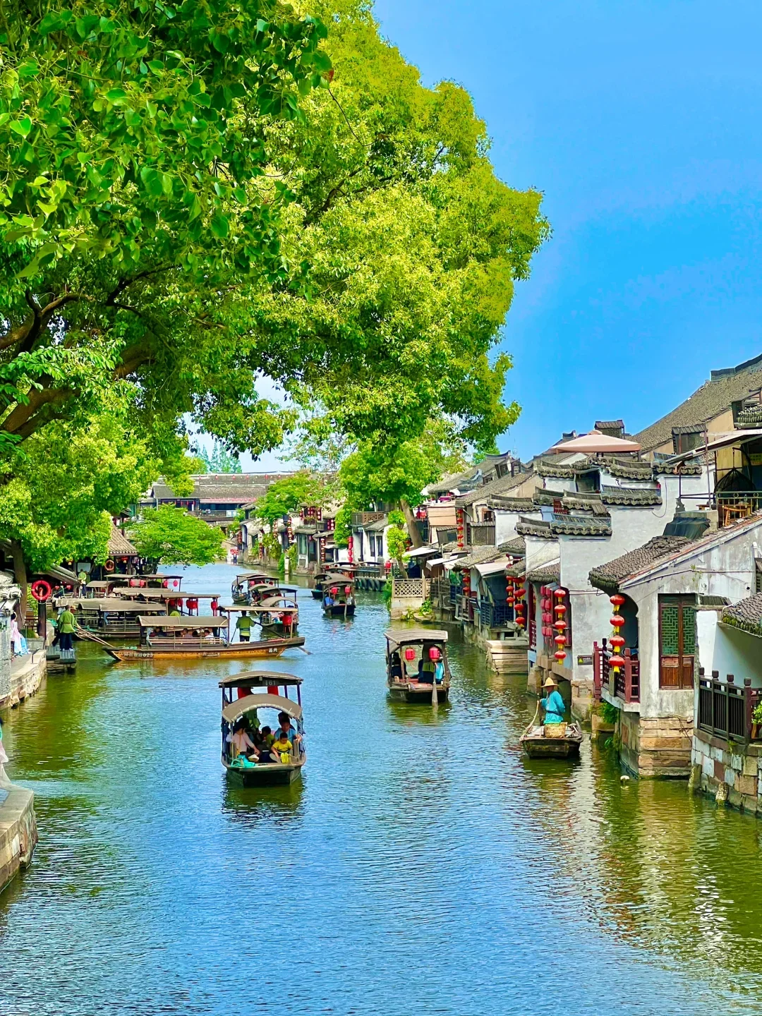 西塘汉服节亲子游超详细攻略👨‍👩‍👧