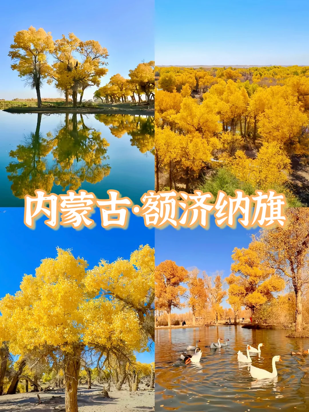 🍁一键收藏!9个国内绝美赏秋胜地推荐