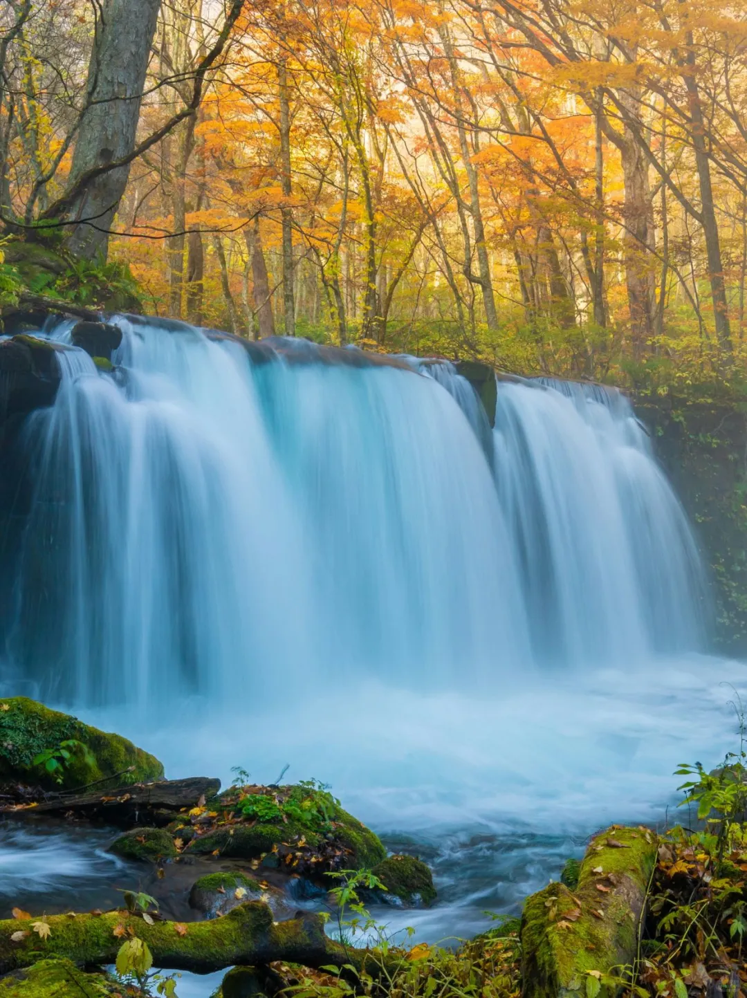 青森冬天怕踩坑？3 条路线搞定精华景点