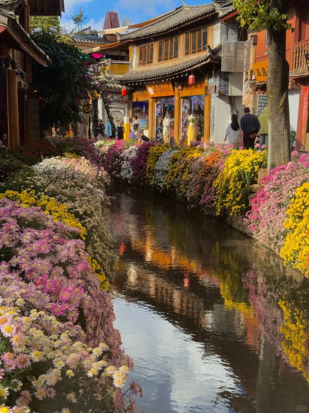 10.25实拍丽江古城⛰️简直是美到失语💐！！！