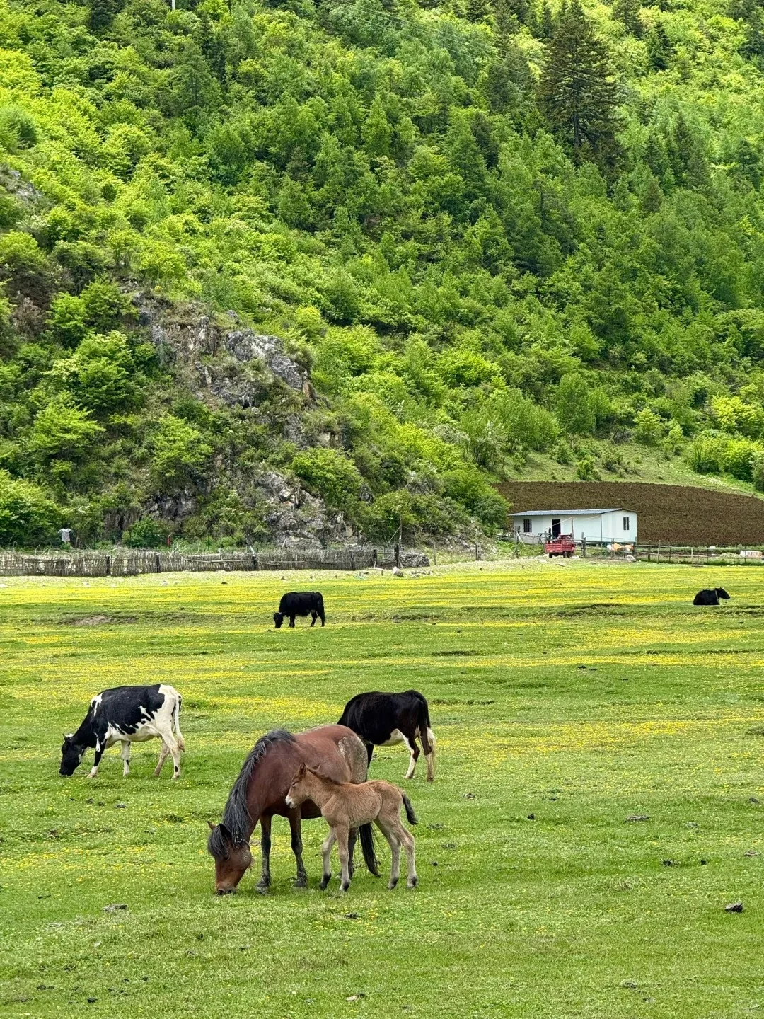 人均78就能拥抱香格里拉的美景 收下这份攻