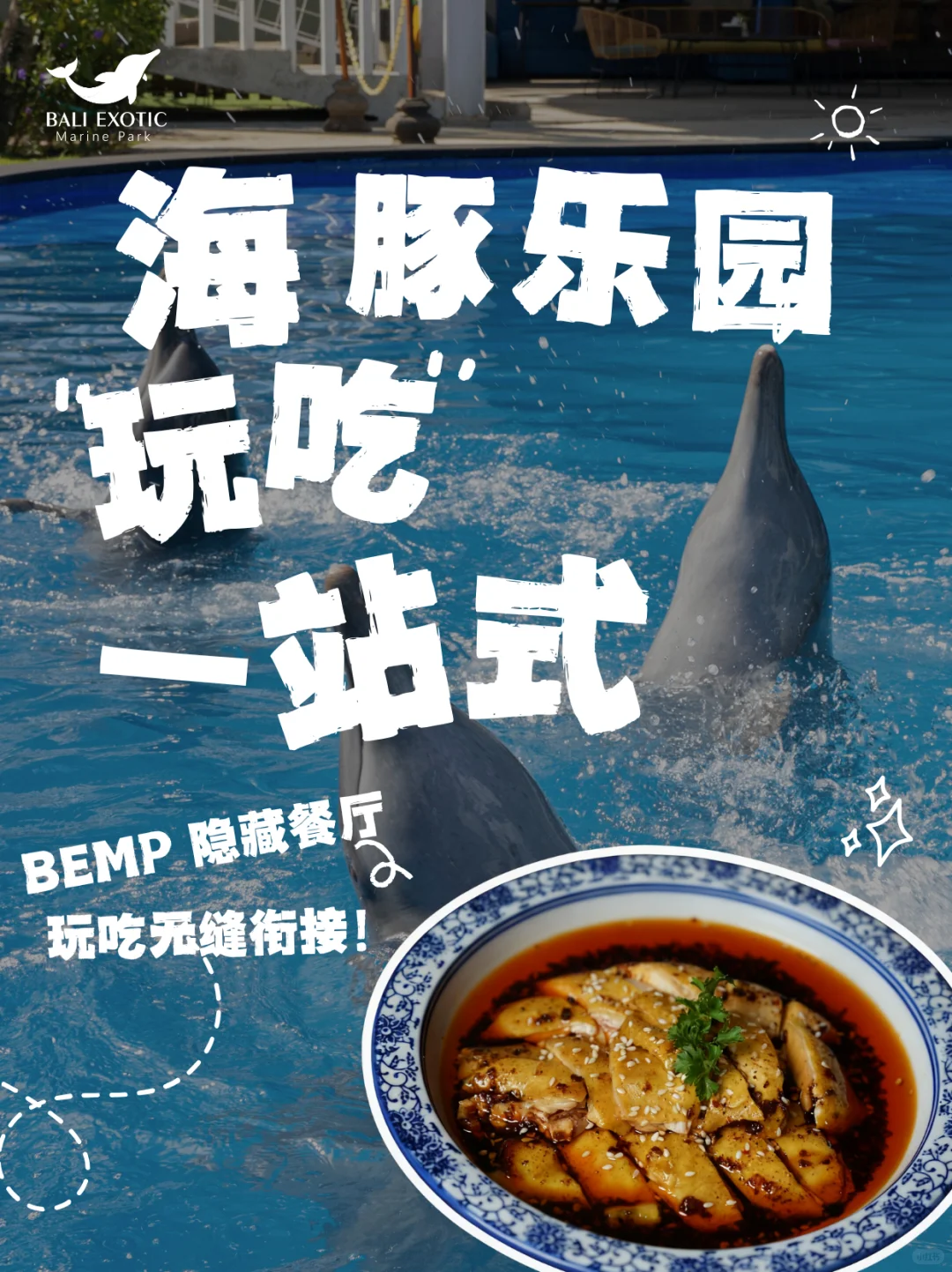 🐬来巴厘岛海豚乐园,玩吃一站式完美日程