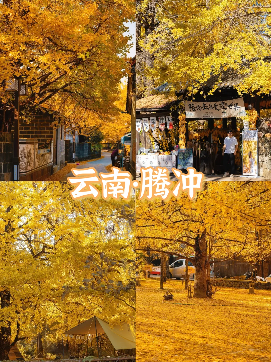 🍁一键收藏!9个国内绝美赏秋胜地推荐