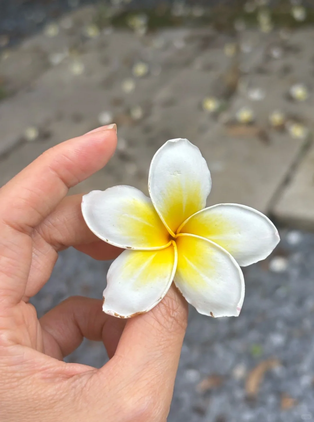 广州自驾40分钟，闯入央视点赞的烟桥古村