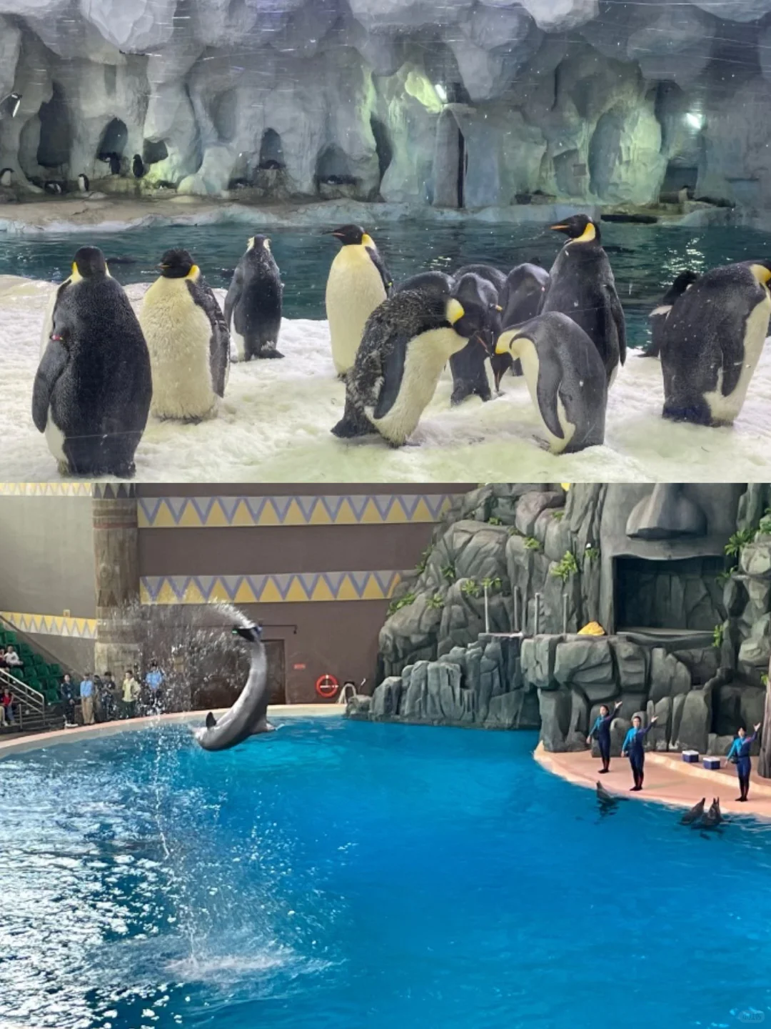 🔥2025蕞全珠海长隆双园攻略｜直接抄作业💯