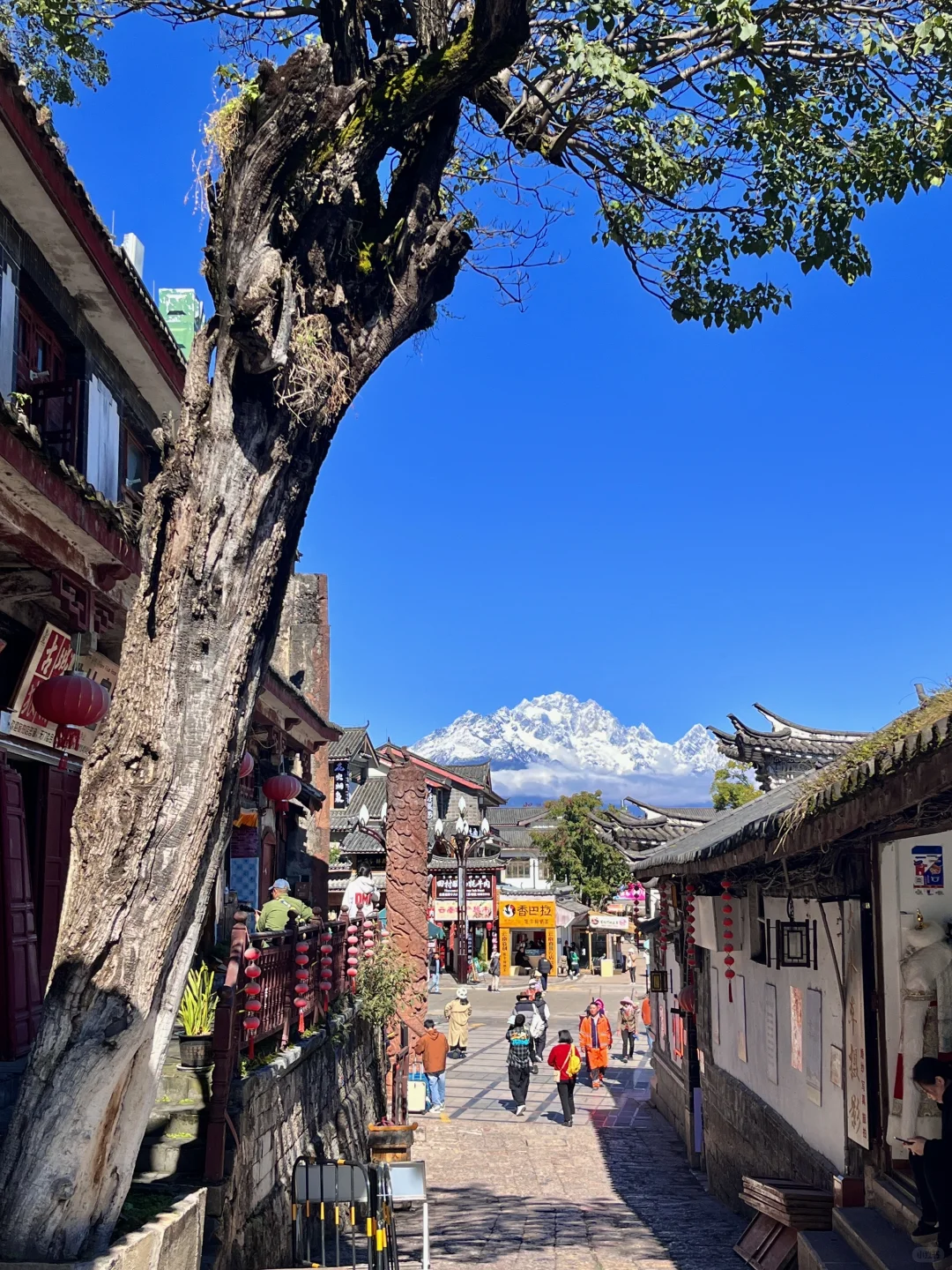 10.25实拍丽江古城⛰️简直是美到失语💐！！！