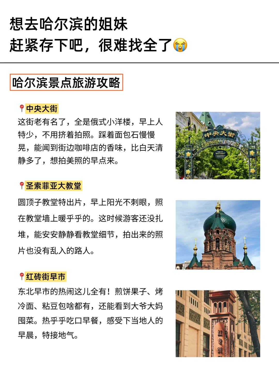 终于有人把10-11🈷️哈尔滨旅游攻略讲清楚了