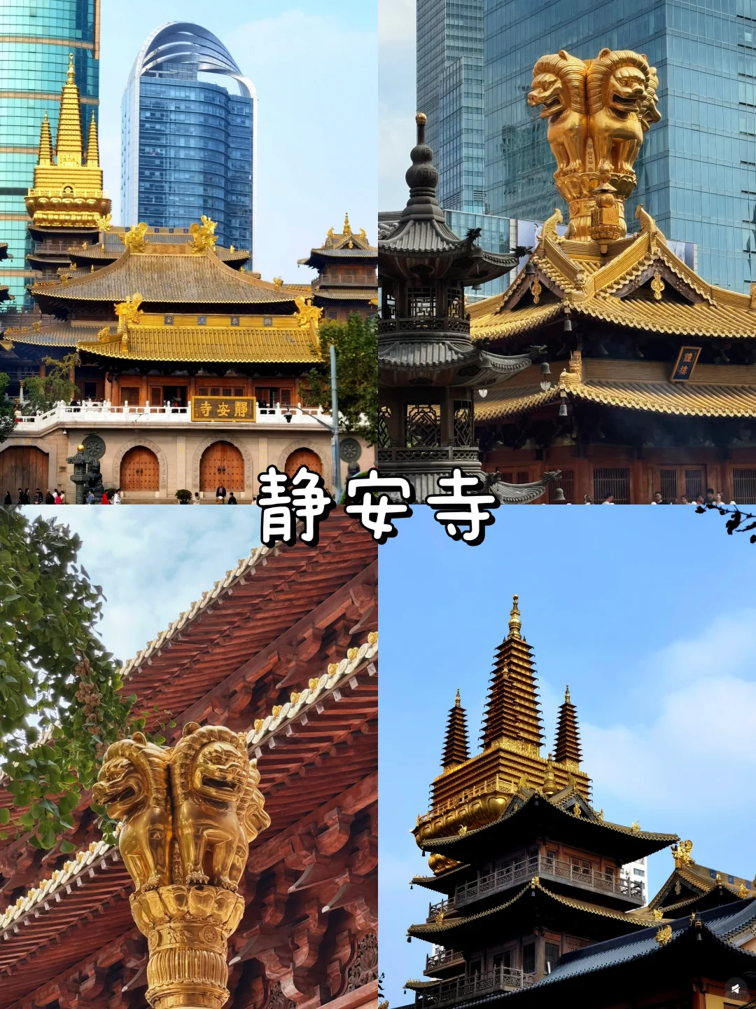 📍上海两天一晚 | 保姆级攻略 | 人均六百💰