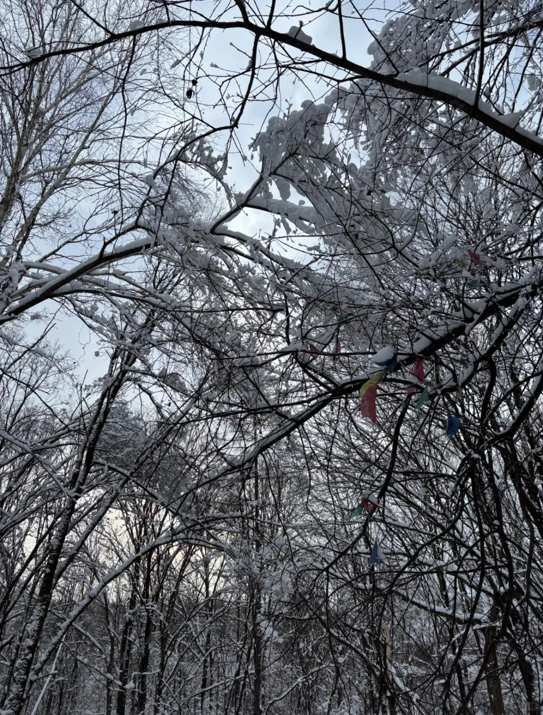 亚布力五大必玩景点,旅行前必看!