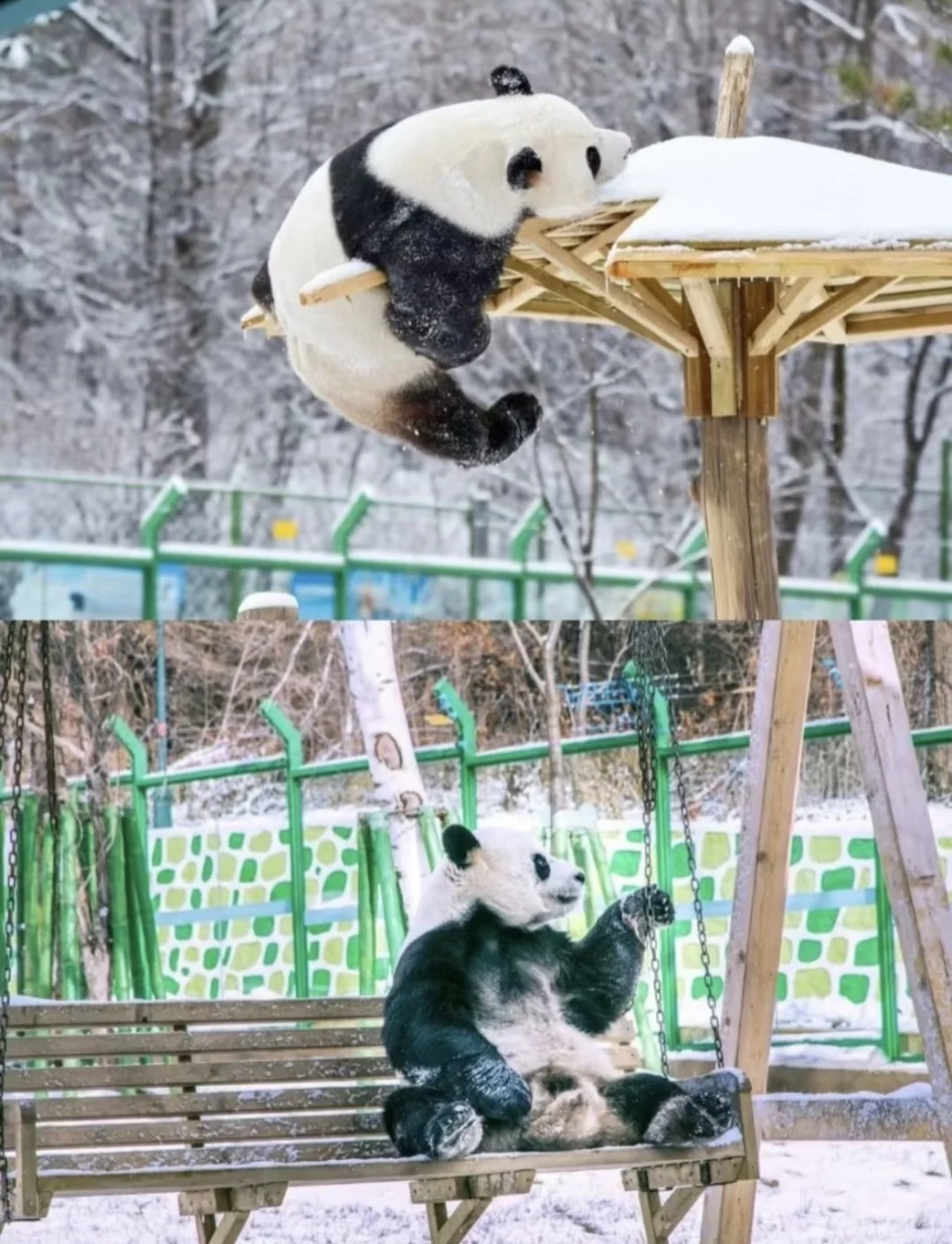 亚布力五大必玩景点,旅行前必看!