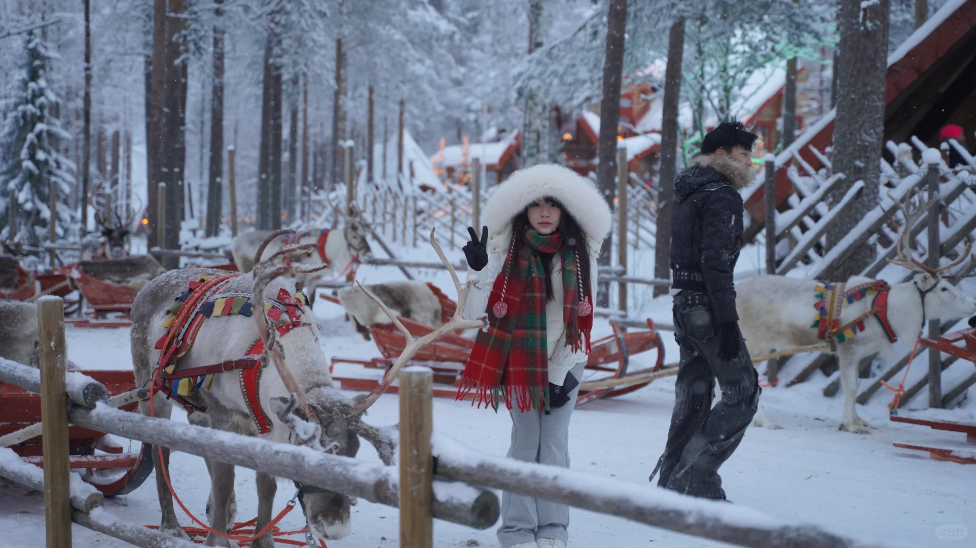 别被坑钱！北欧三国冬季，梳理必玩景点活动