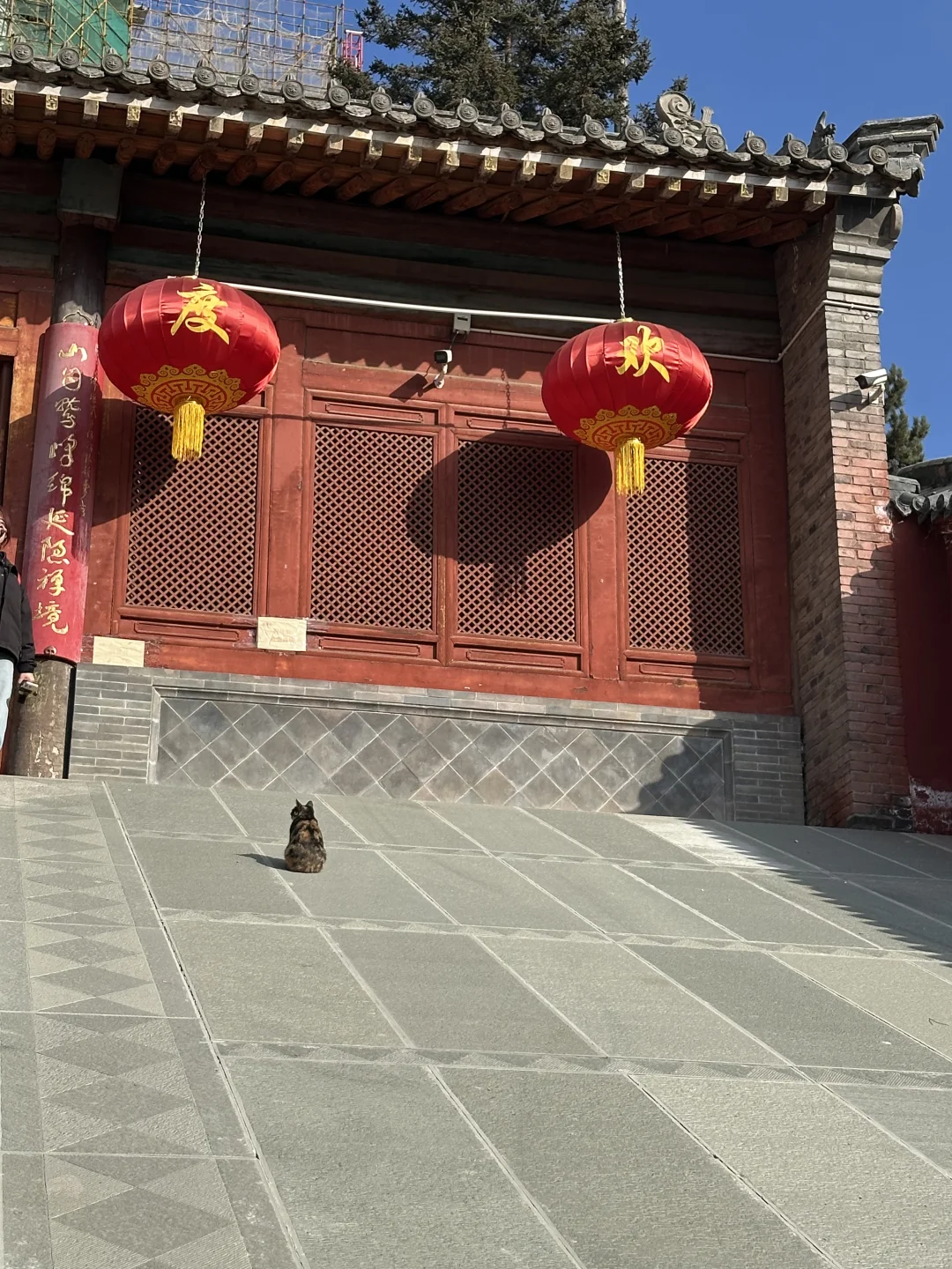 五台山攻略(必看版)|两天一夜