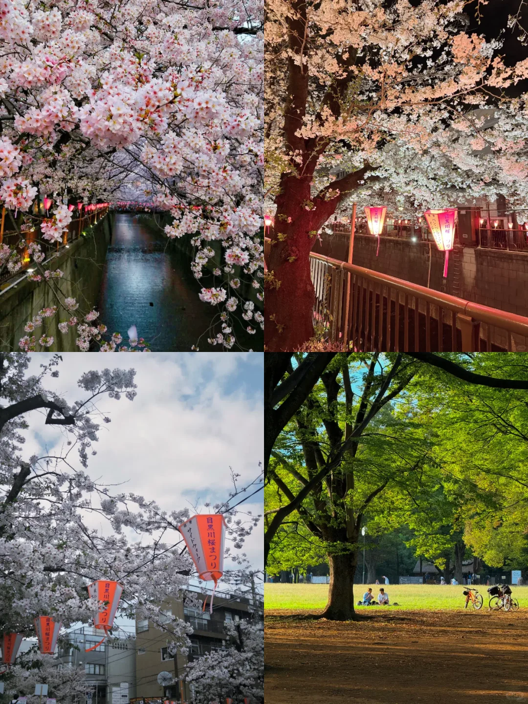 一个人玩东京也不怕！包车带你轻松玩遍东京