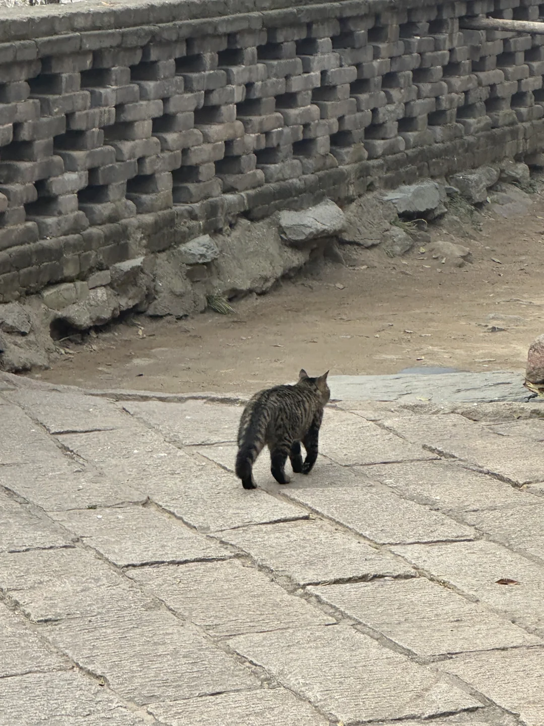 五台山攻略(必看版)|两天一夜