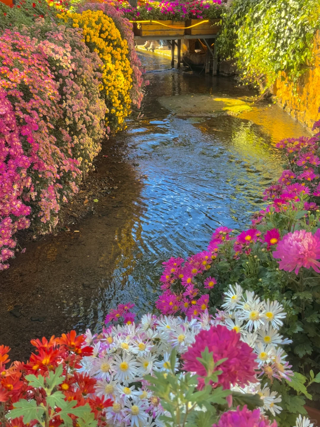 10.25实拍丽江古城⛰️简直是美到失语💐！！！