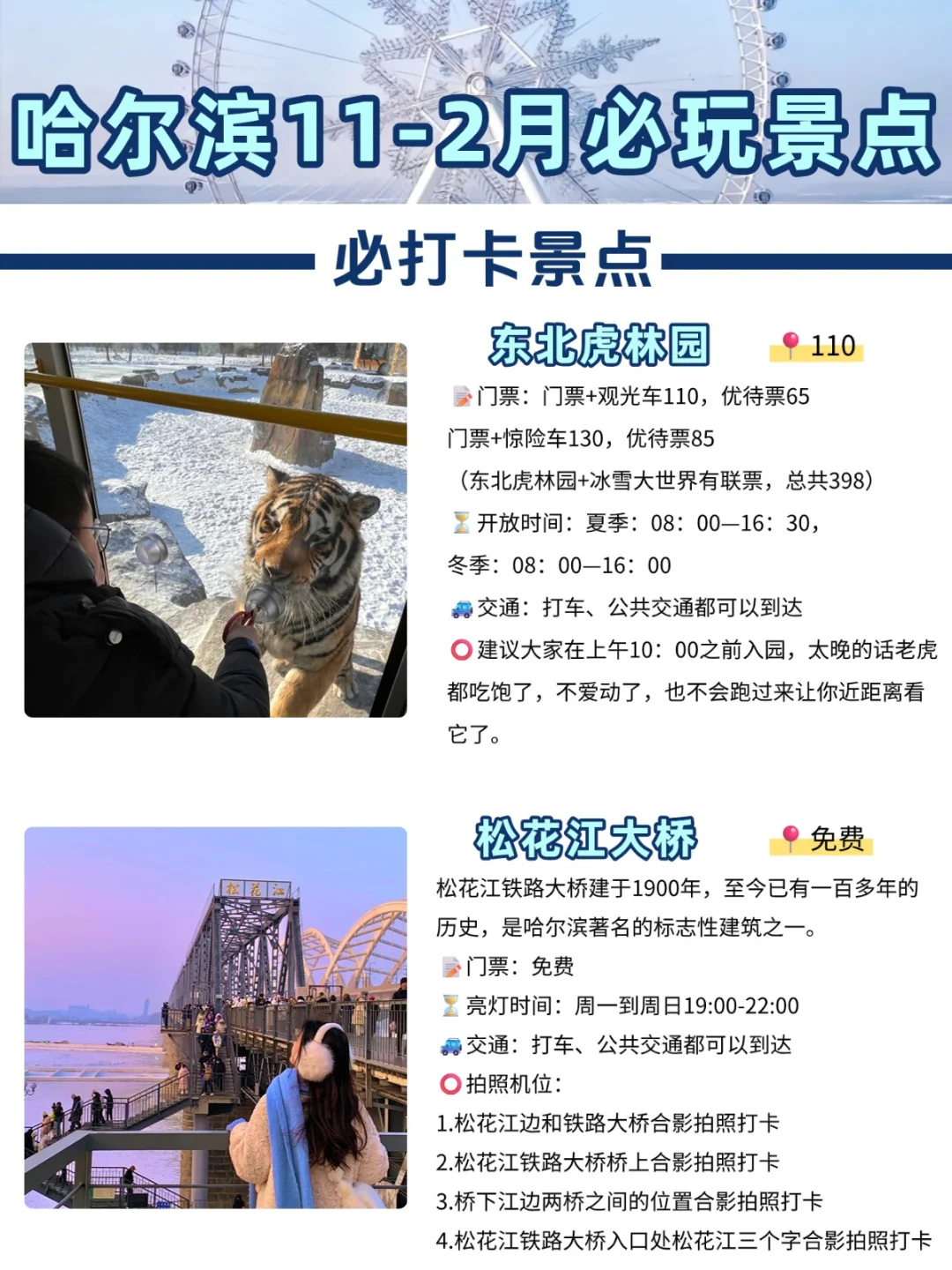 去了哈尔滨6次😭熬夜整理的必打卡景点