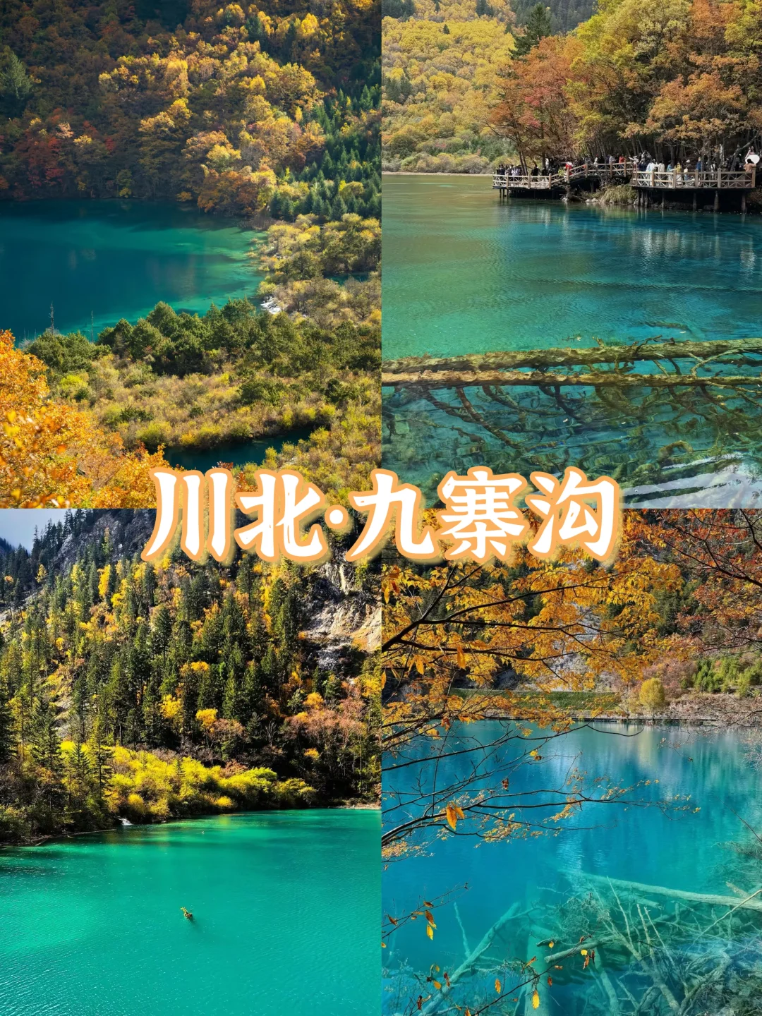 🍁一键收藏!9个国内绝美赏秋胜地推荐