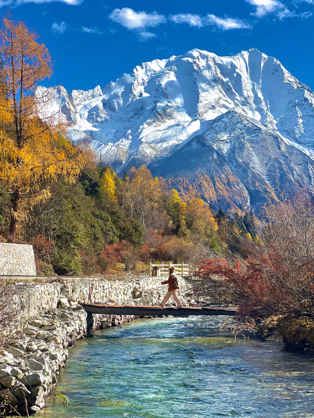 下个月的川西！即将封神！🍁🍂🏔️live