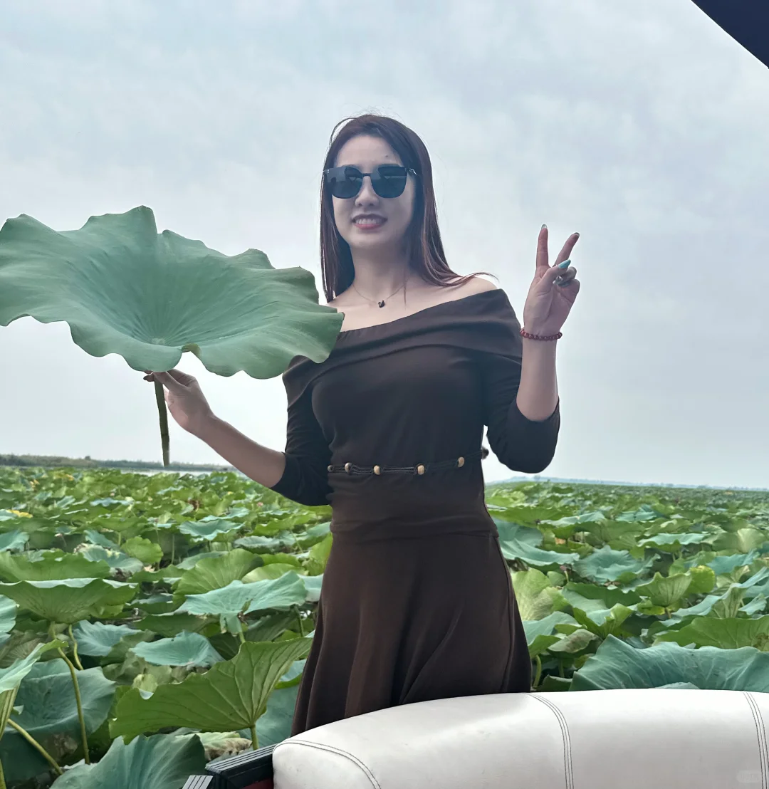 去白洋淀划船吧，风一吹，连烦恼都散了！