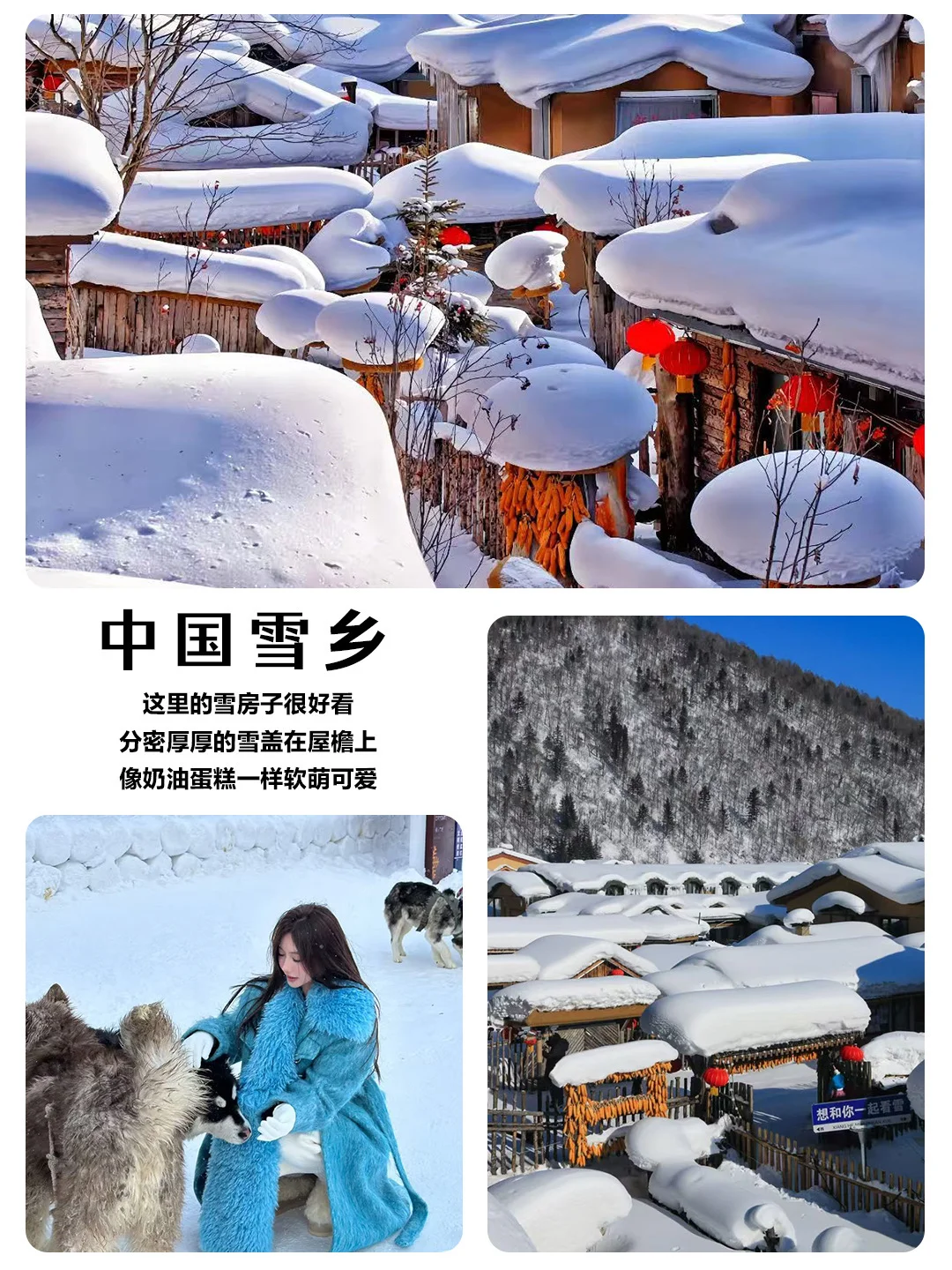人生建议：冬天必冲东北玩雪❄️定制游超香！