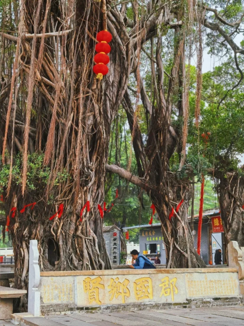 广州自驾40分钟，闯入央视点赞的烟桥古村