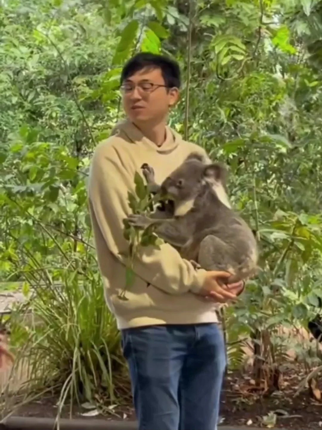 省心必选!澳大利亚定制游✨轻松深度玩南半球