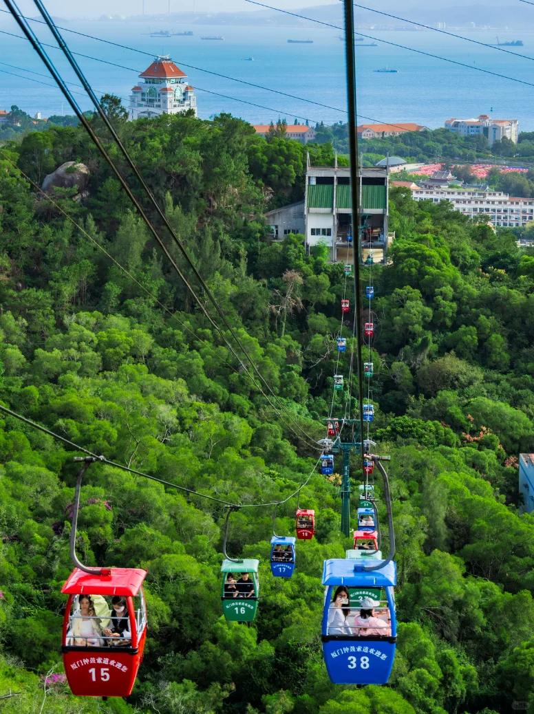 🔥厦门秋冬必坐的空中观景缆车!