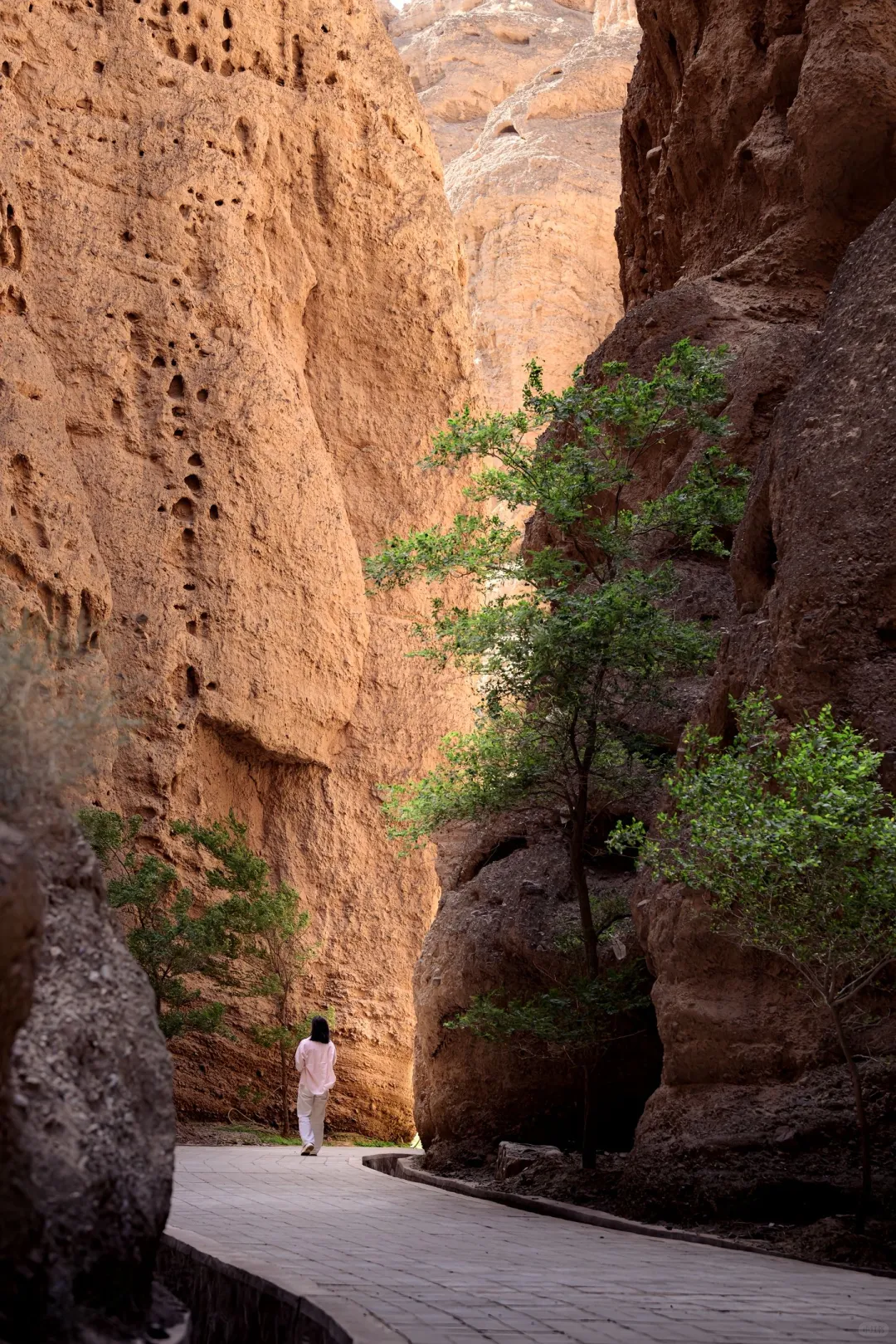 兰州被严重低谷的景点|黄河石林国家公园