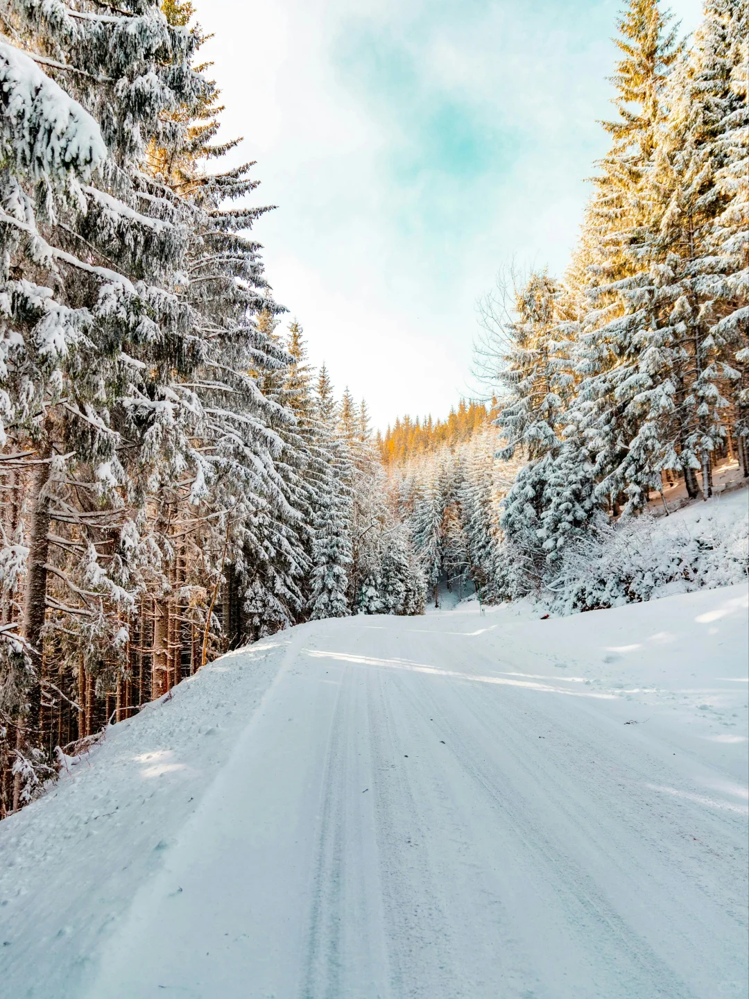 青森冬天怕踩坑？3 条路线搞定精华景点