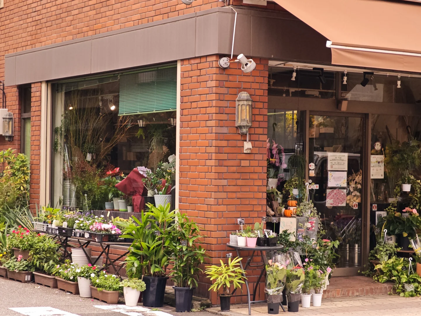 东京 | 第一次来如何两天逛完必去点