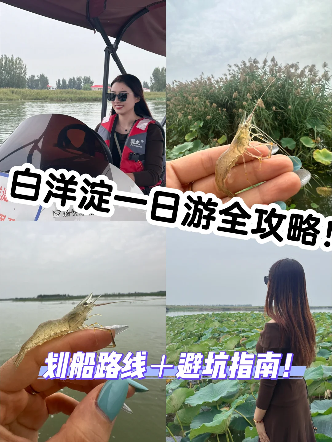 去白洋淀划船吧，风一吹，连烦恼都散了！