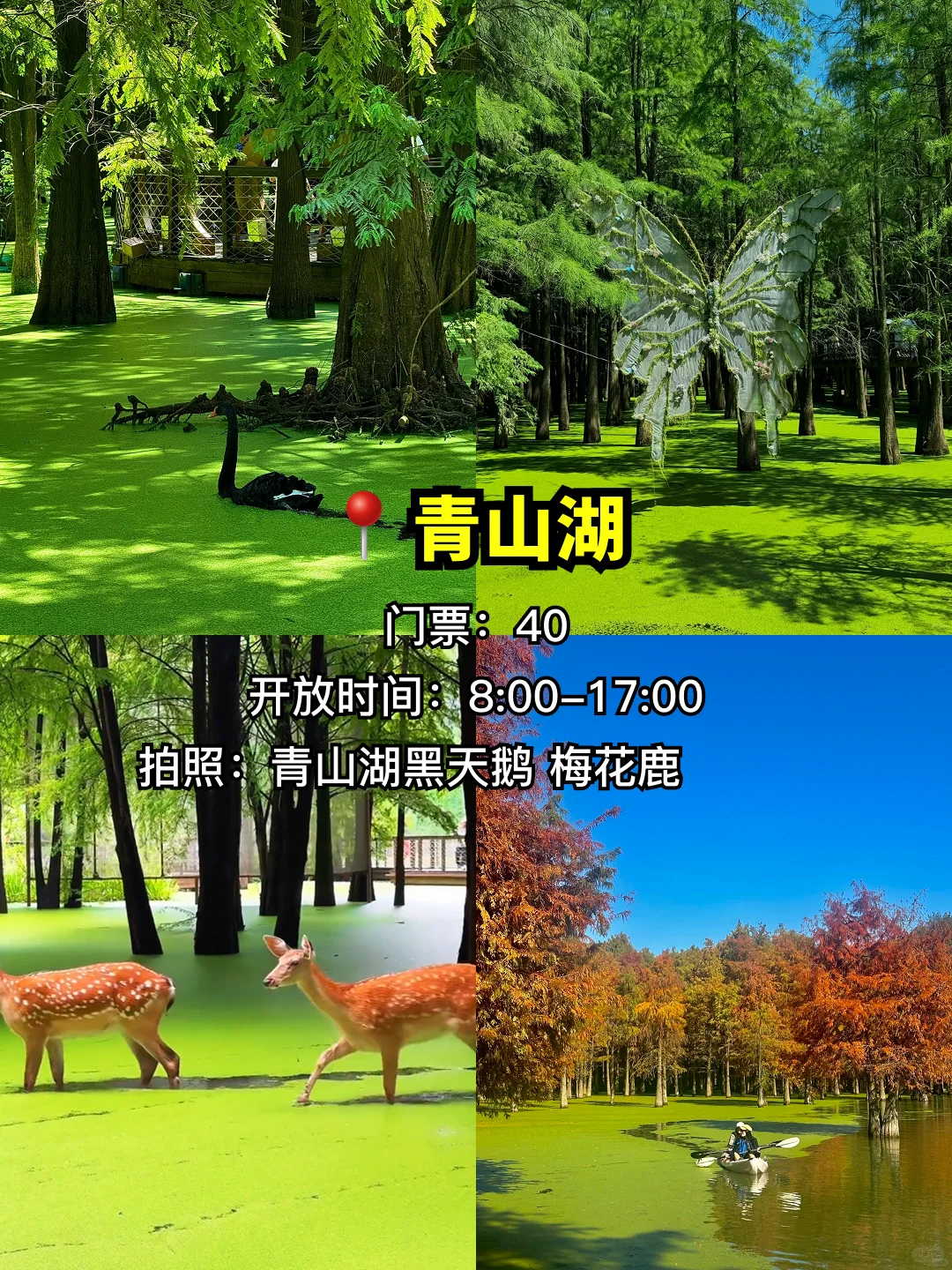 杭州9大必打卡景点合集✅建议点赞收藏👍