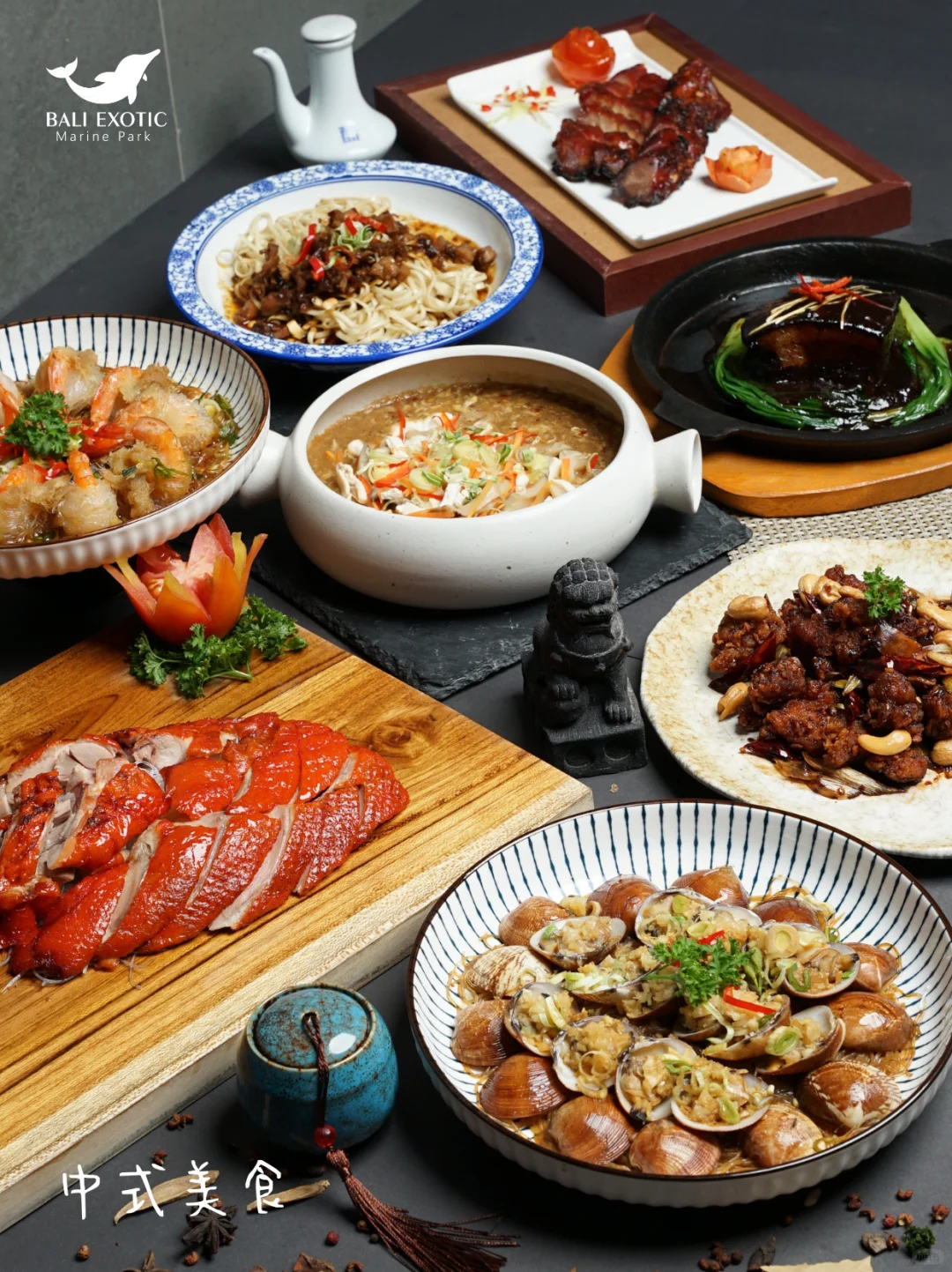 🐬来巴厘岛海豚乐园,玩吃一站式完美日程